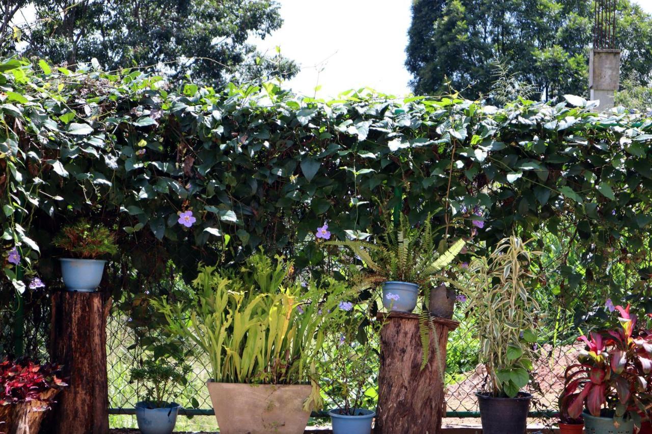 Ella Touch Bed & Breakfast Luaran gambar