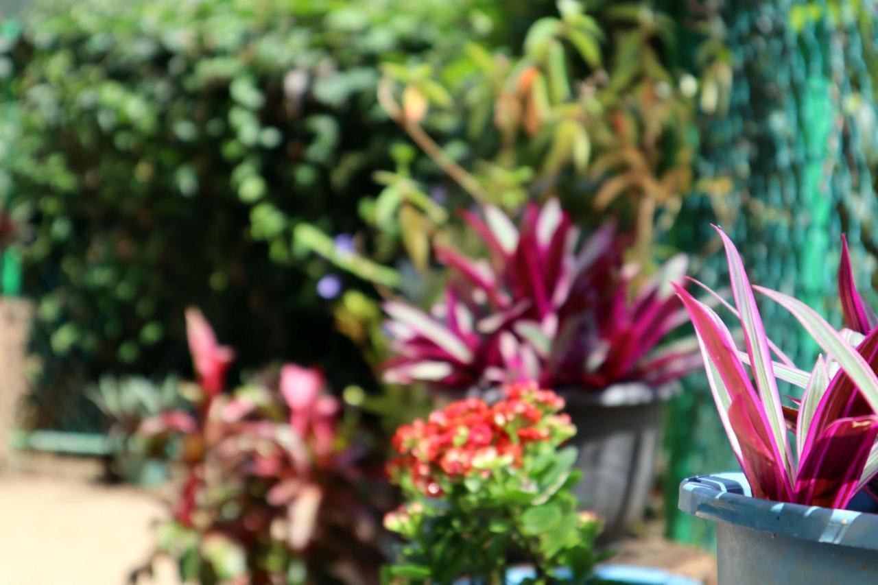 Ella Touch Bed & Breakfast Luaran gambar